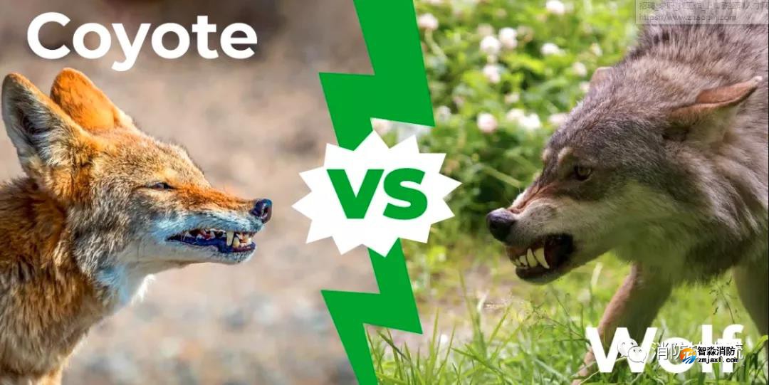 1640322932156876.jpg 微信圖片_20211224131353.jpg