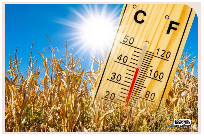 1659669791124283.png image.png