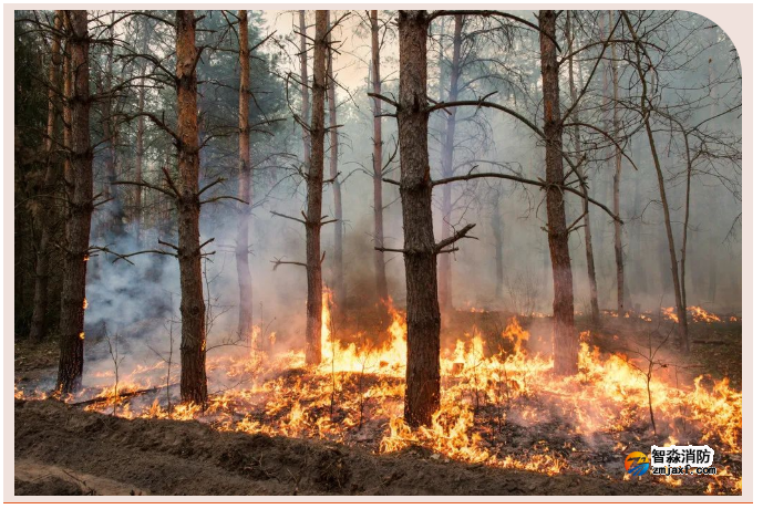 1659669823872462.png image.png