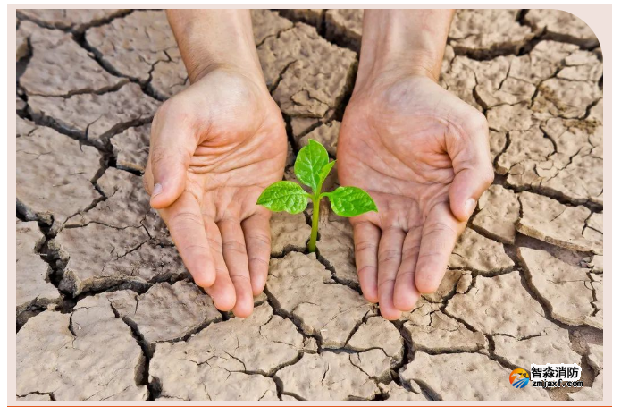 1659669839919776.png image.png